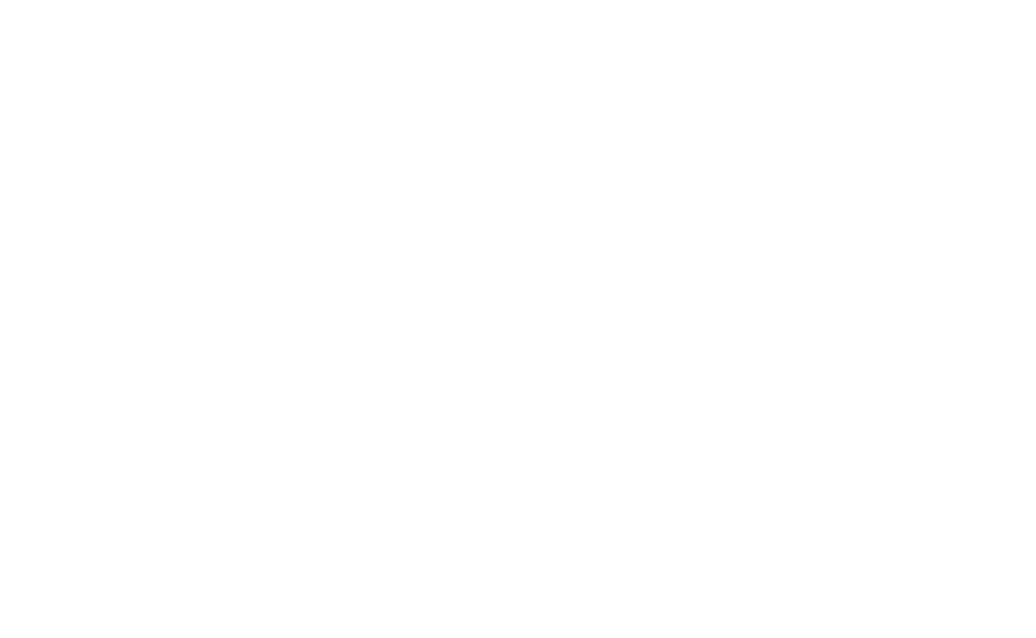 Secure and Safe - Nieuw logo wit